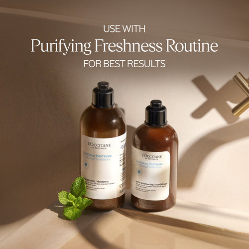 Purifying Freshness Dry Shampoo Mist