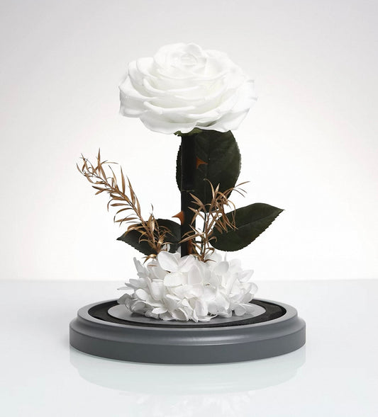 Preserved Flowers (Best Sellers)