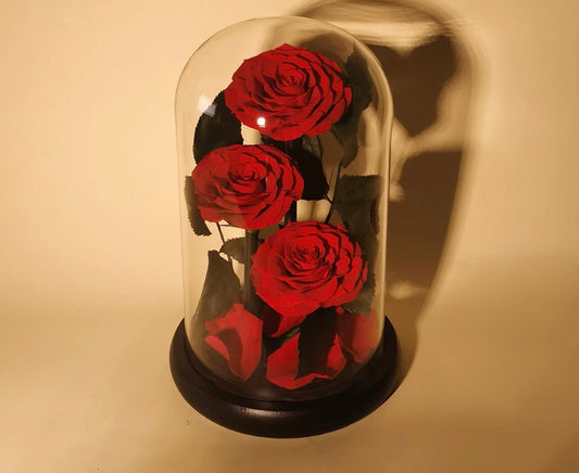 Stylish Flower Gift Ideas | Luxury Flower Gift Boxes