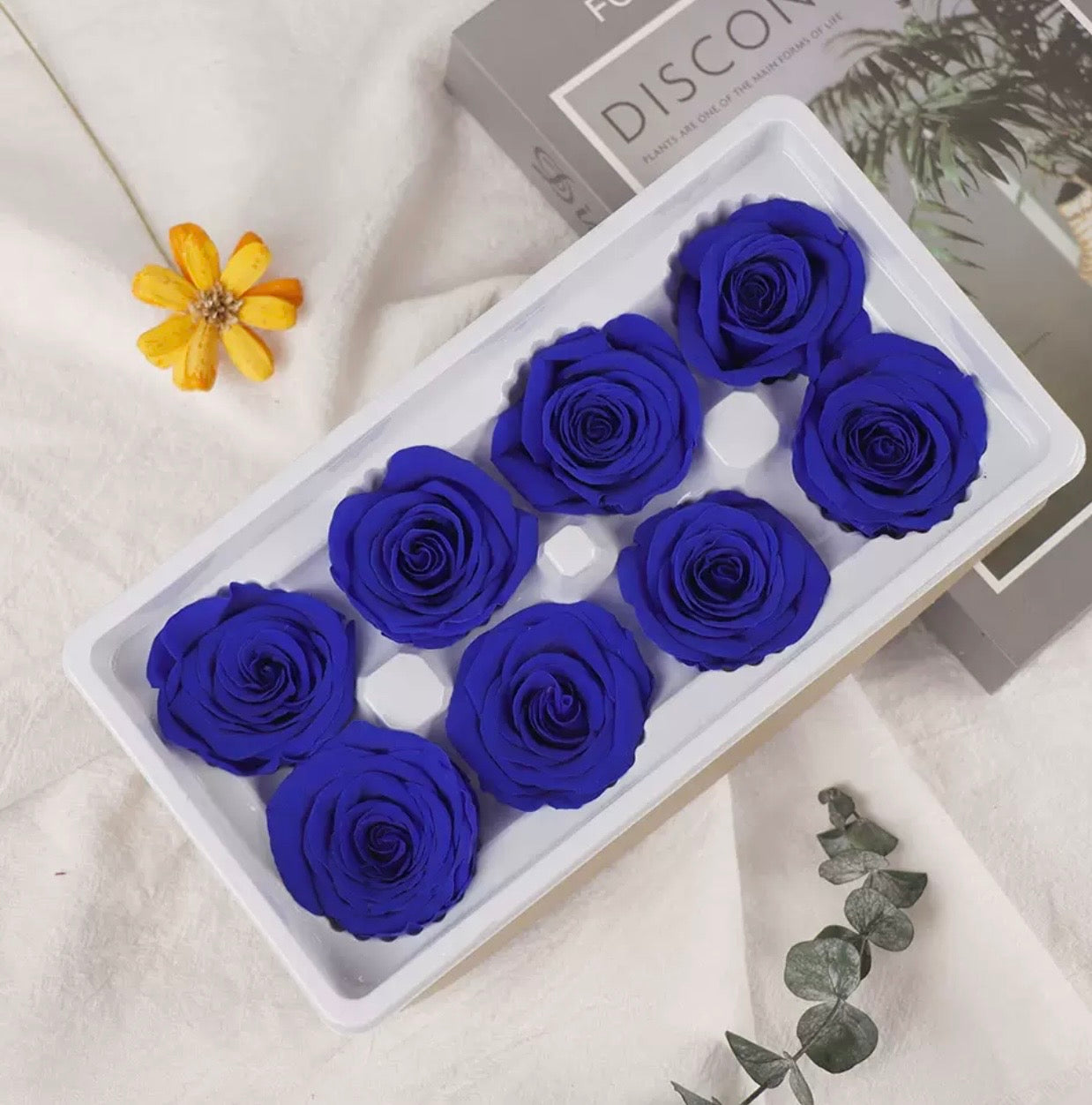 Preserved Flowers (Best Sellers)