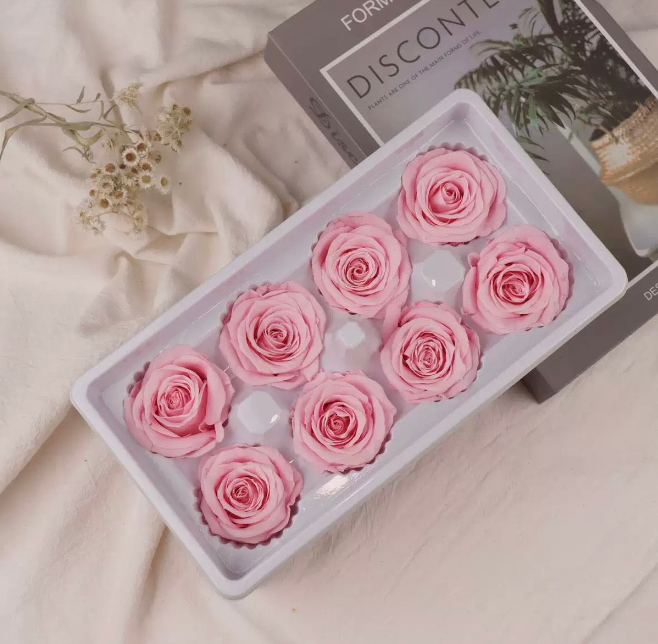 Preserved Flowers (Best Sellers)