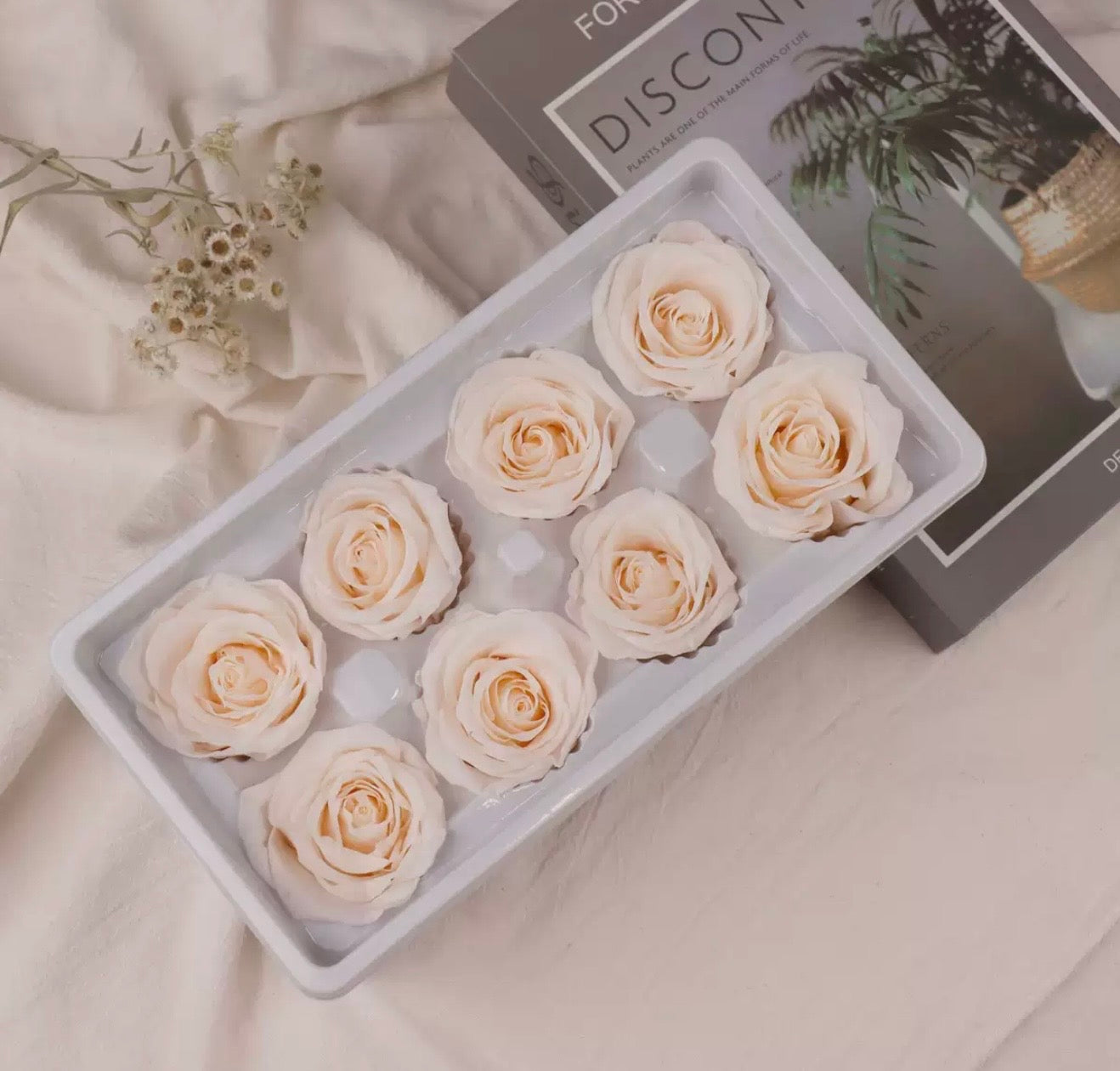 Preserved Flowers (Best Sellers)